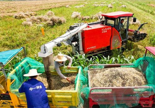 垫江吃瓜最新事件爆料新闻,揭秘背后惊人真相 第1张 垫江吃瓜最新事件爆料新闻,揭秘背后惊人真相 第1张